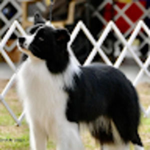 Meet your Posher, Karley